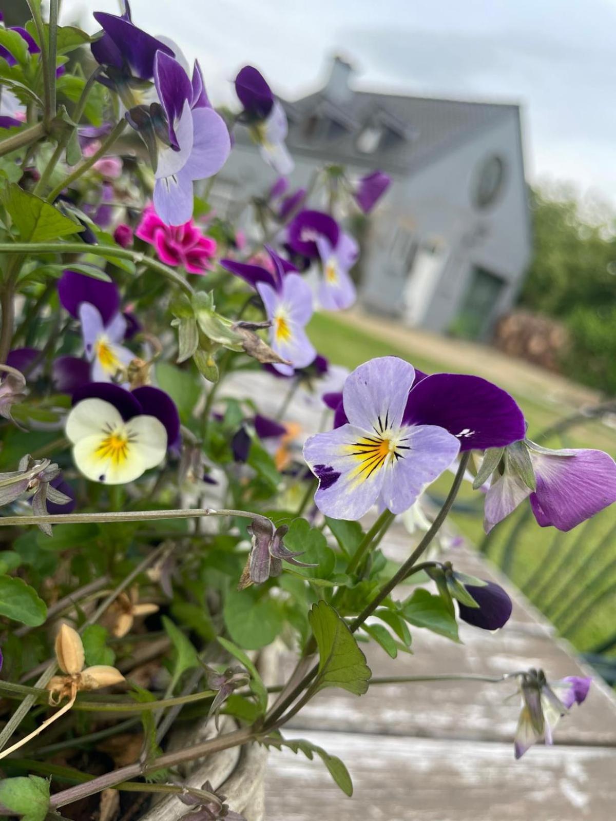 Guesthouse 'T Goed Leven Stokrooie Bagian luar foto