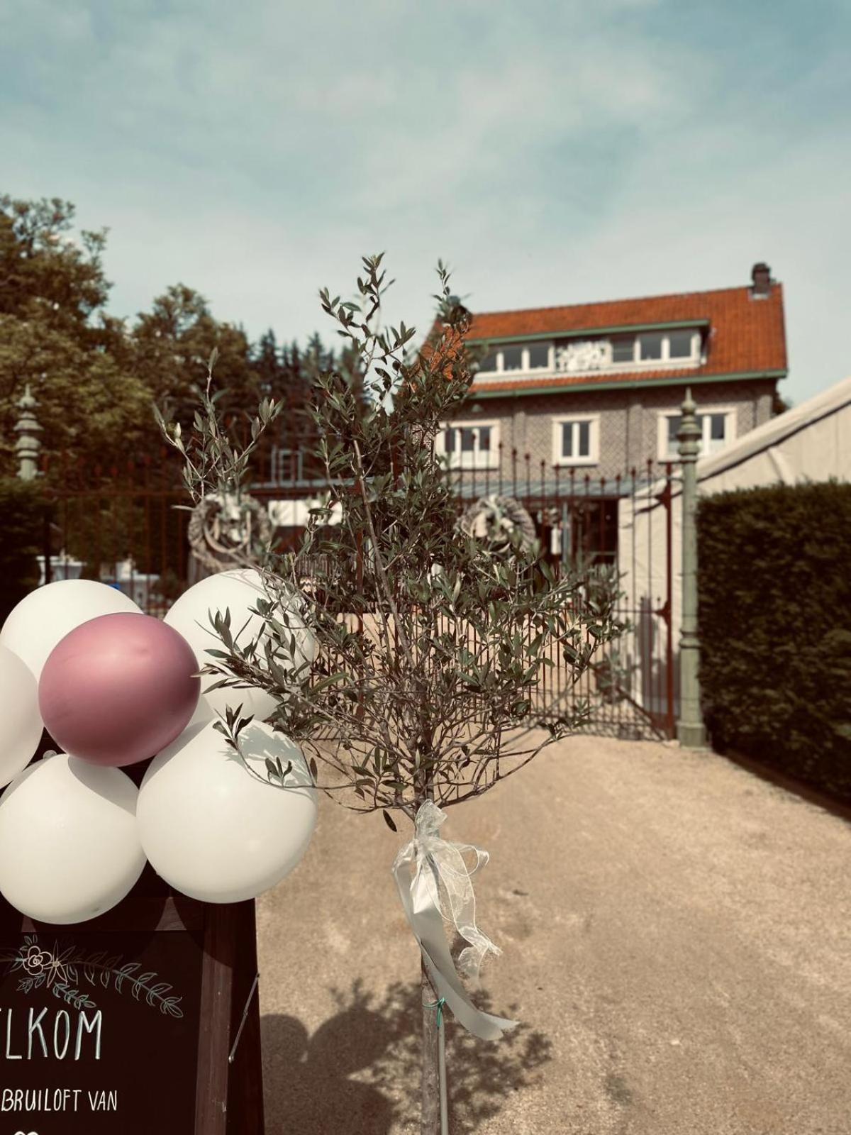 Guesthouse 'T Goed Leven Stokrooie Bagian luar foto